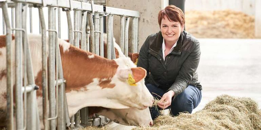 Kälber sind keine Abfallprodukte: Österreich hat einen extrem hoher Anteil an Kälberexporten obwohl sie ein wichtiger Teil der Landwirtschaft sind. Abhilfe kann die Herkunftskennzeichnung und Projekte wie Kalb Rosé Austria schaffen.