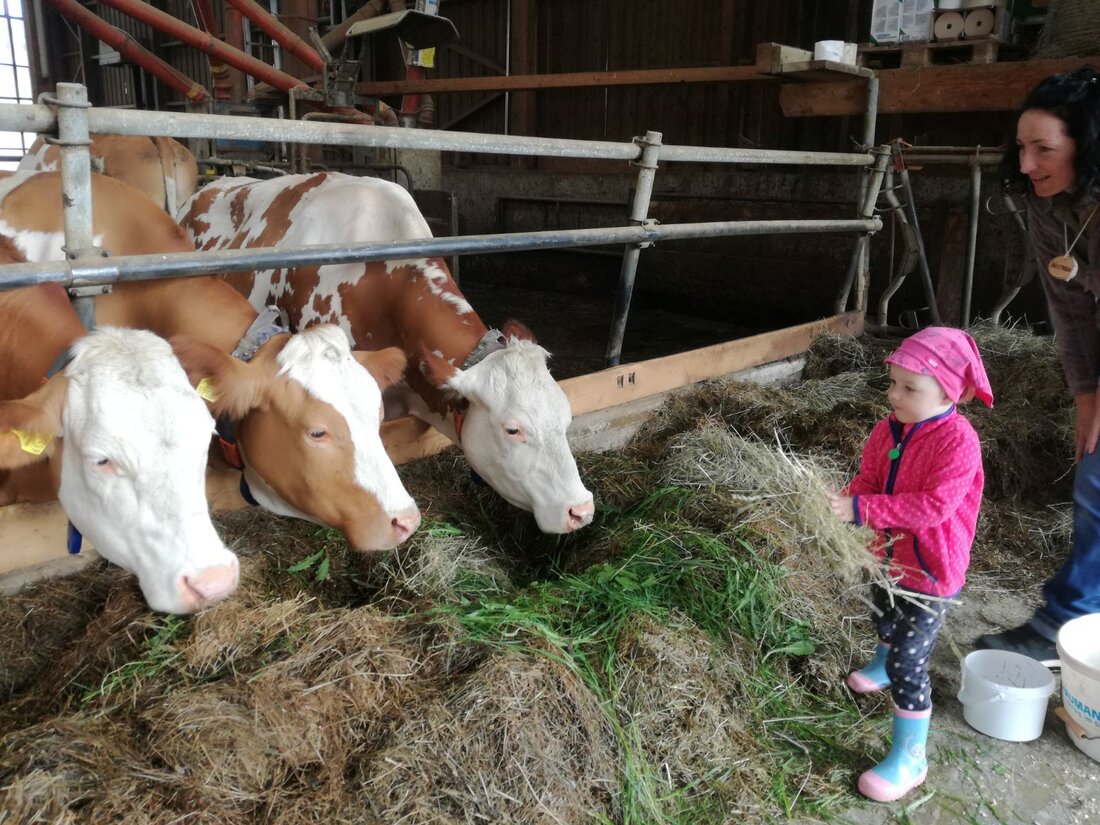 Eine gesunde und nachhaltige Ernährung spielt eine wichtige Rolle für die Entwicklung und die Leistungsfähigkeit im Kindesalter. Trotzdem weisen österreichische Kinder und Jugendliche in Sachen Ernährung und Lebensmittelwissen große Bildungslücken auf. Um den Bezug zu unserer Nahrung nicht zu verlieren, braucht es deshalb zusätzlich zur schulischen Ausbildung eine Verbindung zur Lebensmittelherkunft und Lebensmittelqualität. Zahlreiche Initiativen bemühen sich bereits um eine bessere Ernährungsausbildung in den Schulen. Direkt aus der Landwirtschaft In Lehrplänen festverankerte Bildungsangebote gibt es wenige, das Engagement kommt meist von privater Seite – oder direkt aus der Landwirtschaft: „Schule am Bauernhof“ ist ein Projekt des Ländlichen Fortbildungsinstitutes (LFI) und …