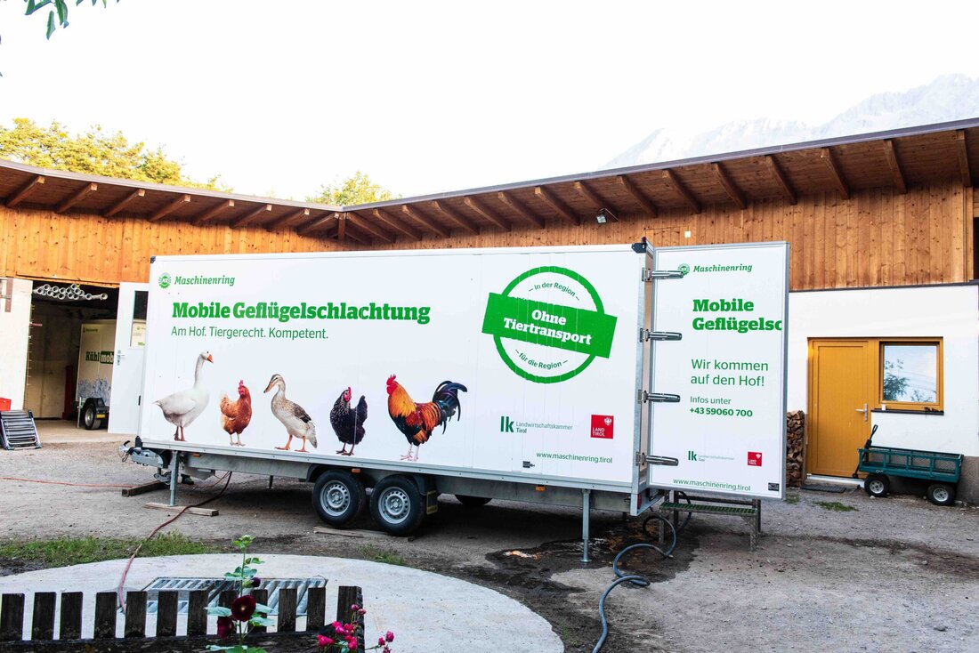Gute Nachrichten für die Mobile Schlachtung: Die Fachstelle für tiergerechte Tierhaltung und Tierschutz hat im Rahmen des Gutachtens nicht nur den kompletten Satz an Managementunterlagen durchgearbeitet, sondern auch die Schlachtung vor Ort und in der Praxis begutachtet. Die knapp sechs Monate der Begutachtung und Austausch zwischen dem AgroStartUp und den wissenschaftlichen Mitarbeiterinnen hat jetzt ein positives Ende gefunden. „Ein Meilenstein für unsere professionelle und fachliche Arbeit mit unseren Schlachtmobilen“, freut sich Geschäftsführer Matthias Mayr über die Anerkennung der Fachwelt. Schwerpunkt Wartebereich und Betäubung Die mobile Schlachtung von Geflügel am Hof scheint eine sehr stressarme Produktion zu sein. „Einzig eine Hofschlachtung …