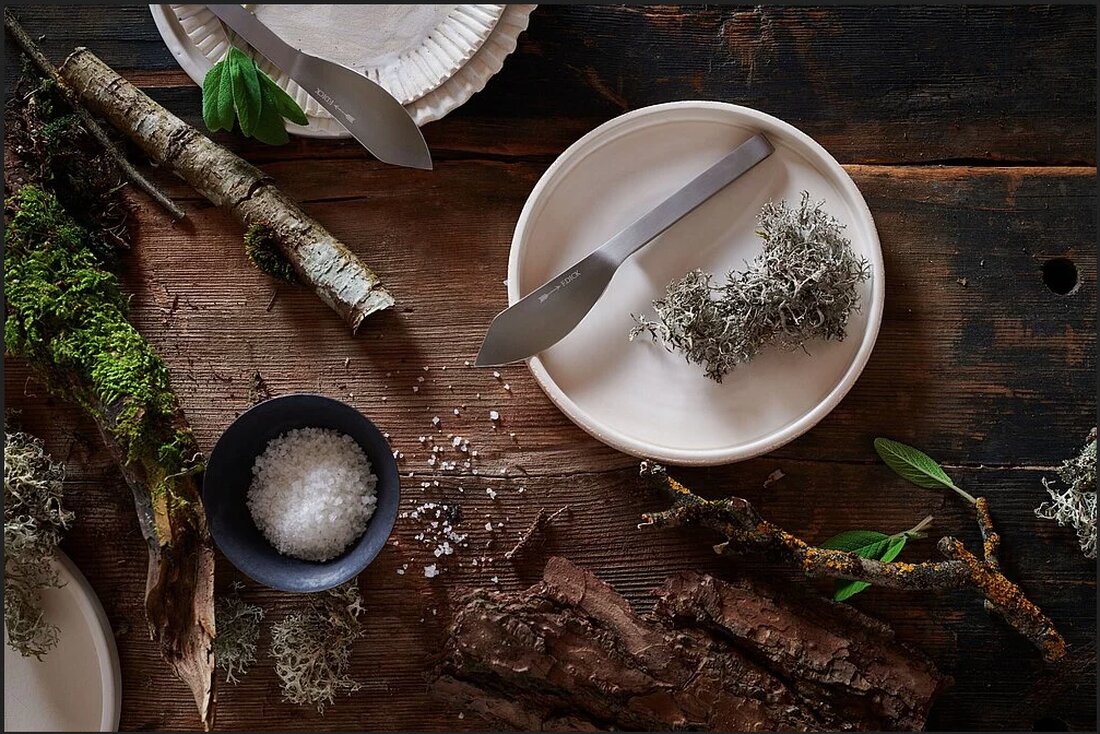 Mit dem Pure Metal Steak- und Tafel- messer Ajax deckt das deutsche Traditionsunternehmen Friedr. Dick einmal mehr auch den Tisch der Genussaficionados.