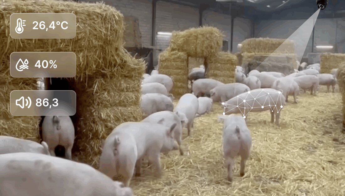 GENBA-Systeme revolutionieren Tierschutz in Schlachtbetrieben mit KI, Sensorik und Echtzeit-Monitoring. Lückenlose Dokumentation von Tierwohl, CO2-Betäubung und Stallklima. Erfahren Sie mehr über innovative Lösungen für Verbrauchervertrauen!