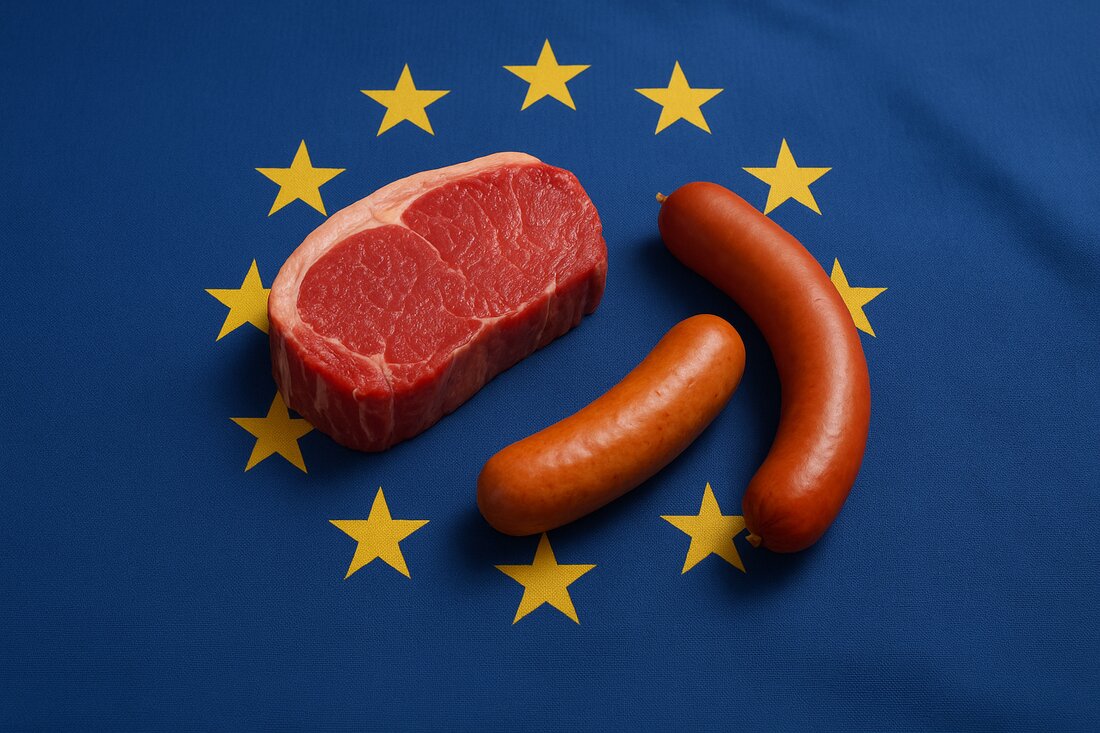 Die EU-Kommission verschiebt konkrete Tierschutzgesetze erneut. Statt verbindlicher Standards soll 2026 nur eine Strategie zur Nutztierhaltung kommen – mit Folgen für Österreichs Fleischbranche.