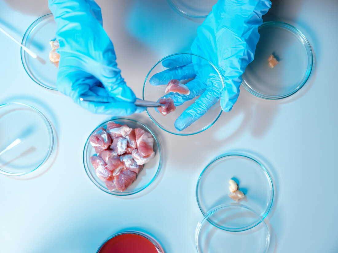 Die Umweltschutzorganisation Greenpeace hat 24 Proben handelsübliches Fleisch aus österreichischen Supermärkten auf Krankheitserreger testen lassen, die gegen Antibiotika resistent sind. Das alarmierende Ergebnis: Mehr als jedes dritte Stück Fleisch war mit diesen bedrohlichen Bakterien belastet, die auch für uns Menschen gefährlich sind. Auch Fleisch mit dem rot-weiß-roten AMA-Gütesiegel war zu über einem Drittel betroffen. Grund dafür ist die Massentierhaltung. Zu enger Raum, unnatürliche Böden, schnelle Trennung des Nachwuchses von der Mutter machen die Tiere krank. Antibiotika sollen gegen diese hausgemachten Krankheiten helfen. Die Tiere werden übermäßig oft behandelt und dadurch „härten” sich die Erreger gegen die Medikamente ab. Diese Resistenzen …