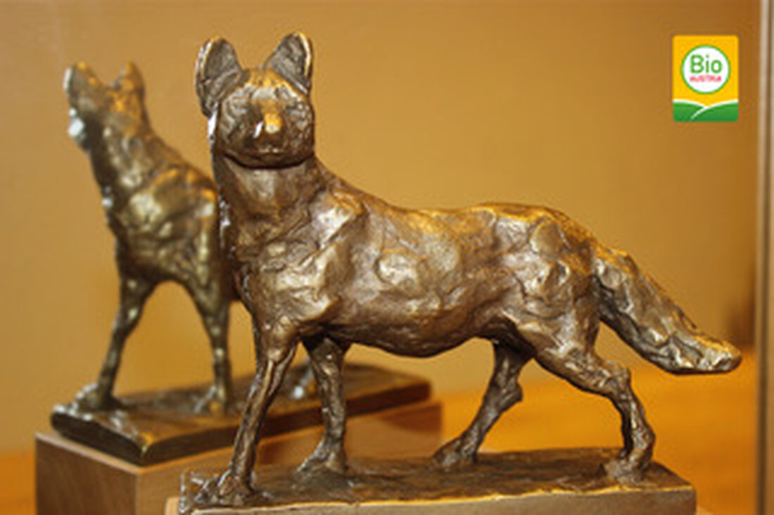 Bereits zum 13. Mal schreibt BIO AUSTRIA den Bio-Innovationspreis BIO AUSTRIA-Fuchs aus. Vor dem Hintergrund der Klimakrise steht der Wettbewerb um die besten Ideen und Innovationen im biobäuerlichen Bereich in diesem Jahr ganz im Zeichen des Klimaschutzes. Denn die Auswirkungen des Klimawandels machen sich global mit immer größerer Intensität bemerkbar. Auch und gerade Bäuerinnen und Bauern sind von den Konsequenzen verstärkt betroffen, in Form von erschwerten Anbaubedingungen und Ernteausfällen, etwa durch Schädlingsbefall, Starkregen oder extreme Trockenheit. Heuer werden daher vom Bio-Verband Biobäuerinnen und Biobauern gesucht, die mit gutem Beispiel voran gehen und ihren Hof klimafitter gemacht haben und/oder ihre Ideen &hellip;