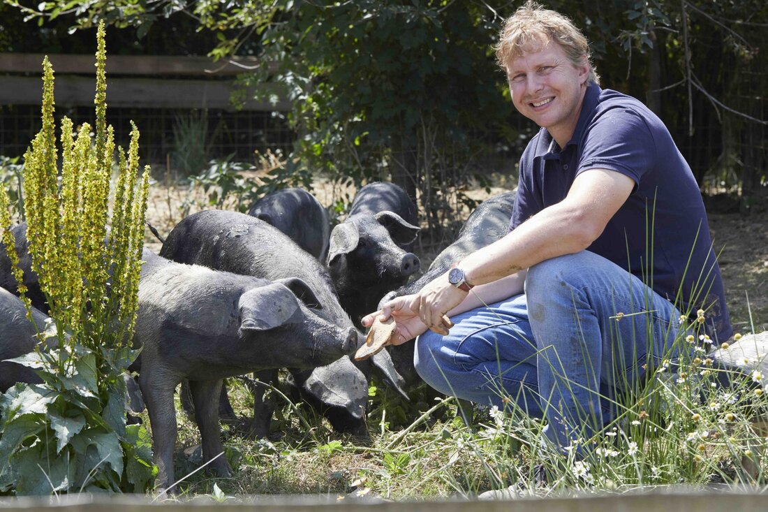 Norbert Hackl meldet sich auf Facebook Weil diese Auflistung im „Einkaufsführer Schweinefleisch“) gerade viel Verwunderung im Netz bringt –, erlaube ich mir ein paar persönliche Zeilen dazu zu schreiben! Vor 17 Jahren überworfen meine Frau Ulrike und ich alles, was wir in punkto Landwirtschaft bislang praktiziert hatten. Innerhalb von sechs Wochen entschieden wir uns, unseren damals konventionellen Betrieb auf Bio und Freiland umzustellen. Betonung auf Freilandhaltung Schweine! Das gab es damals so gut wie überhaupt noch nicht – zumindest nicht für Betriebe, die davon ihre Familie ernähren mussten. Ohne zu wissen, was uns erwartet, wie wir unsere Tiere verkaufen werden &hellip;