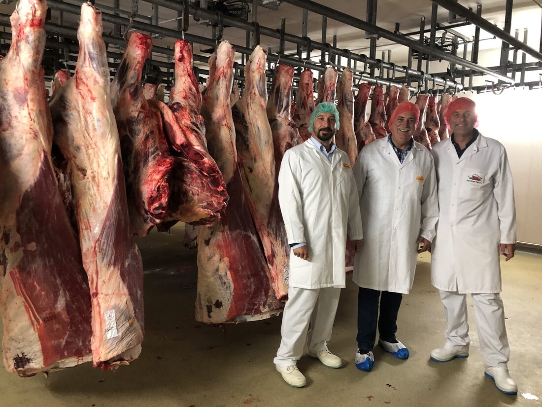 Mit dem neuen Zerlegebetrieb haben die Genossenschaft Kärntner Fleisch und Karnerta den regionalen Kreislauf in Kärnten geschlossen und die rund 3.500 Bauern des Landes unter einem Dach vereint. Nach einem Umbau mit einem Investment von rund einer Millionen Euro ist die Zerlegung in Klagenfurt seit Beginn des Jahres in Betrieb. Derzeit werden wöchentlich etwa 450 Tiere (etwa 400 Schweine und 50 Rinder) – die Kapazitäten sind hier aber noch nicht ausgeschöpft. Die Produkte werden schließlich innerhalb des Netzwerks der beiden Kooperationspartner und über die regionalen Fleischereien vertrieben. 100 Prozent Kärnten Mit ihrer Zusammenarbeit haben die beiden Unternehmen einen wahren Mehrwert …