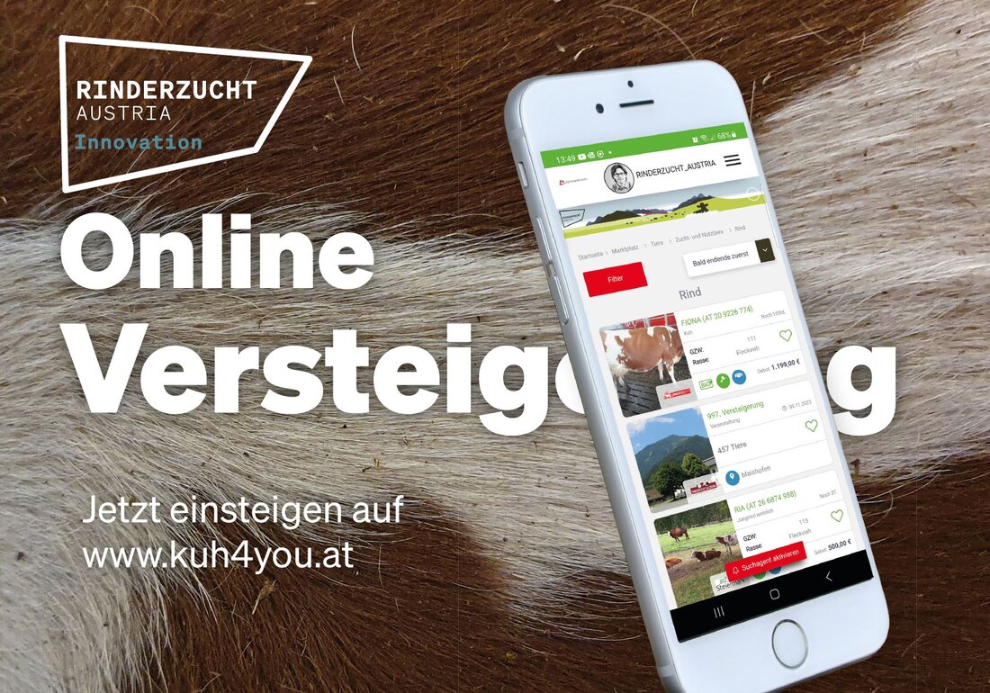 Die Plattform Kuh4You (www.kuh4you.at) bietet nun nicht nur ein umfangreiches Angebot an BIO-Tieren gemäß der EU-Bio-Verordnung, sondern listet auch Tiere auf, die auf physischen Versteigerungen in Österreich angeboten werden. Landwirte können online nach passenden Angeboten suchen und haben die Möglichkeit, über die Plattform direkt mit den Treuhändern vor Ort Kontakt aufzunehmen. Die Plattform ermöglicht eine gezielte Suche nach verschiedenen Kriterien wie Milchleistung, Zuchtwerten, Regionen und mehr.
