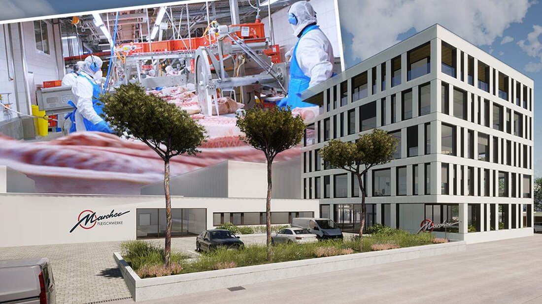 Modernisierung am Standort Villach: Die Marcher Fleischwerke investieren in ein neues Bürogebäude, eine moderne Kantine und Produktionsanlagen – ein zukunftsweisendes Projekt für die Lebensmittelbranche.