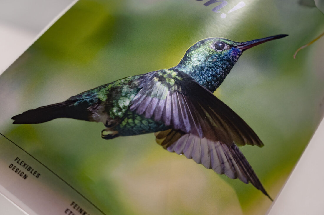 Marzek Etiketten+Packaging, ein renommiertes Unternehmen in der Verpackungs- und Etikettenindustrie, erweitert sein Produktportfolio um ein innovatives Metallic-Digital-Offset-Verfahren. Diese technologische Neuerung setzt neue Maßstäbe in der Produktion hochwertiger Etiketten und Verpackungen, insbesondere für Wein- und Industrieprodukte. Metallic-Digital-Offset: Eine Innovation im Etikettendruck Das neue Metallic-Digital-Offset-Verfahren von Marzek Etiketten+Packaging ermöglicht es, Etiketten mit beeindruckenden Metallic-Effekten zu versehen. Gold, Silber, Bronze und weitere Spezialfarben verleihen den Etiketten eine außergewöhnliche Eleganz und Strahlkraft. Durch diese Technologie entstehen einzigartige Farbwelten, die Produkte am Point of Sale (POS) hervorheben und die Aufmerksamkeit der Kunden auf sich ziehen. Vielseitige Anwendungsmöglichkeiten Die Einsatzmöglichkeiten des neuen Verfahrens sind vielfältig und &hellip;