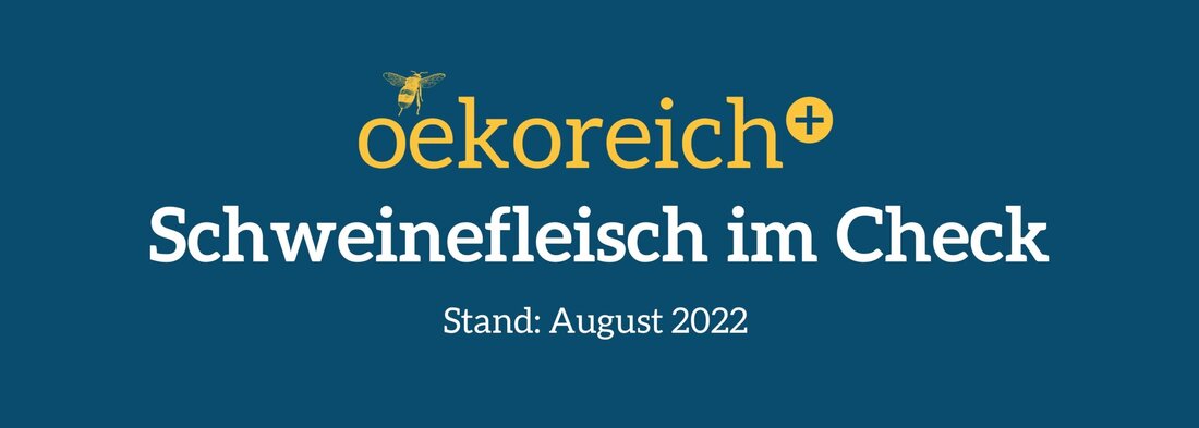 Die Bürgerinitiative oekoreich hat die 9 wichtigsten Fleischerzeuger in Österreich befragt. Die  Ergebnisse zeigen Lücken in den Bereichen Transparenz und Rückverfolgbarkeit. 