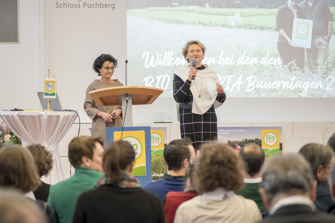 Stabiler Absatz und niedrigere Teuerung bei Bio-Lebensmitteln: Am 24. Jänner fand die 19. BIO AUSTRIA Bauerntage unter dem Motto "Mit Bio aktuelle Herausforderungen meistern" statt. Bis 3. Februar 2023 werden in der größten Bildungsveranstaltung für die Bio-Landwirtschaft an zehn Fachtagen 85 Vortragende aus Wissenschaft, Beratung und Praxis spannende Informationen an die TeilnehmerInnen vermitteln.