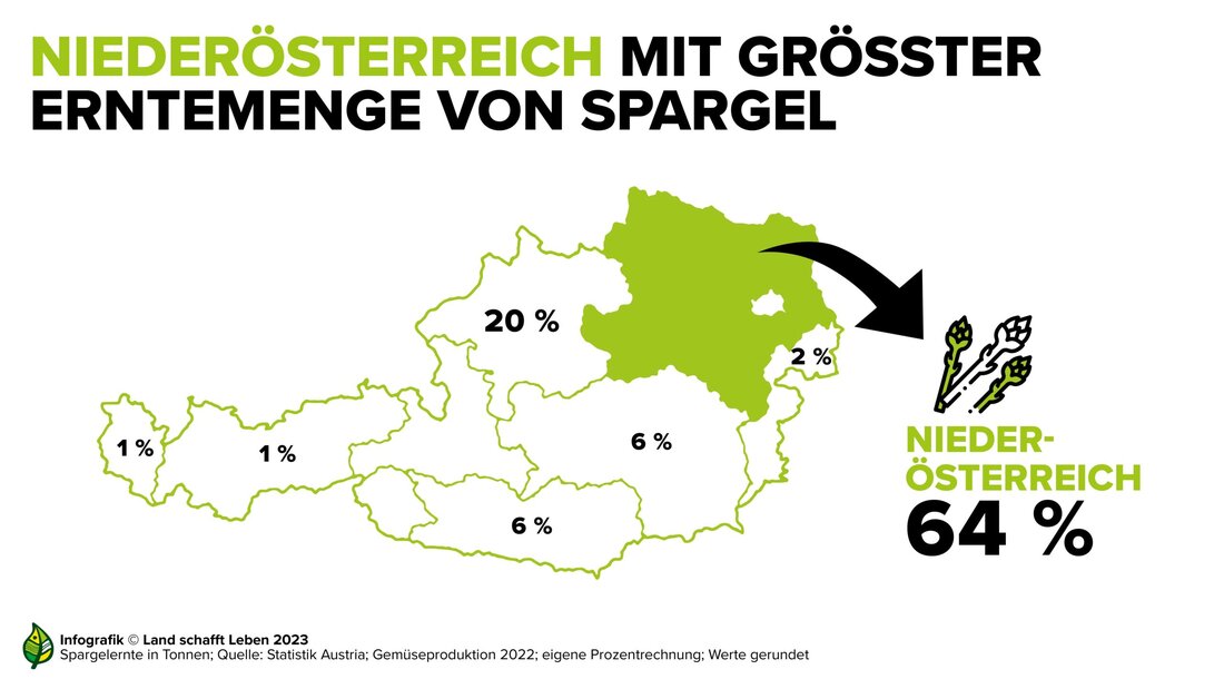 Die derzeitige Spargelernte zeigt einmal mehr, dass viele Bereiche in der Landwirtschaft nicht ohne Hilfskräfte aus dem Ausland auskommen: Ohne sie wäre der Genuss von heimischem Spargel – und im Übrigen von vielen anderen heimischen Gemüsesorten – gar nicht möglich, denn in Österreich sind zu wenige bereit, die Erntearbeit auf sich zu nehmen.