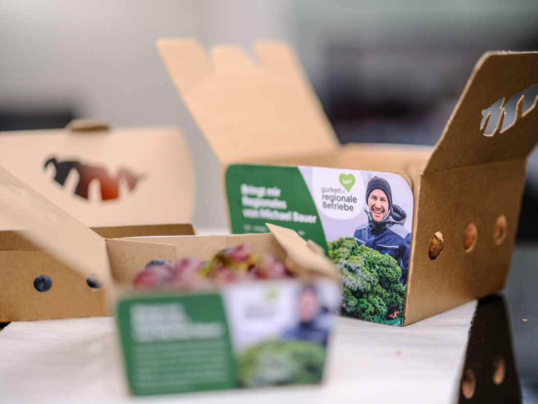 gurkerl.at hebt die Unterstützung regionaler Betriebe auf ein höheres Level. Neben einer signifikanten Erhöhung der Anzahl lokaler Partnerbetriebe erweitert der Online-Supermarkt auch das 'Wir lieben regionale Betriebe'-Programm. Teilnehmer profitieren von Schulungen, Beratung, Nachhaltigkeitsberichten und Zugang zu innovativen Technologien. Durch den Verzicht auf Zwischenhändler liefert gurkerl.at frische Lebensmittel direkt von den Partnerbetrieben zu wettbewerbsfähigen Preisen.