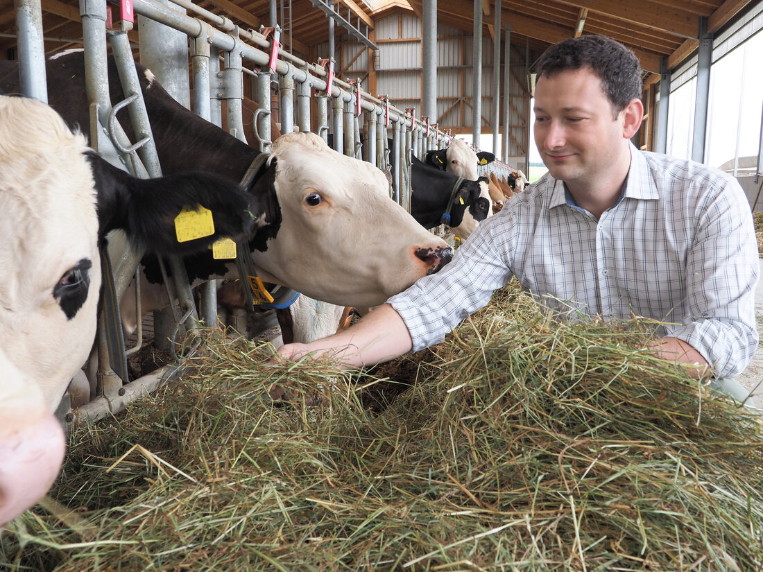 Der NÖ Bauernbunddirektor bezeichnet die Diskussion über die Reduktion der Rinderzahl in Irland als irreführend und belastend für die Landwirtschaft in Österreich. Ohne Rinderbauern gäbe es keine Kühe auf den Almen, was einen wichtigen Tourismus- und Wirtschaftsfaktor im ländlichen Raum beeinträchtigen würde. Die Qualität der niederösterreichischen Bäuerinnen und Bauern wird hervorgehoben, und eine Umfrage zeigt, dass die Bevölkerung die Kuh nicht als Klimakiller betrachtet.