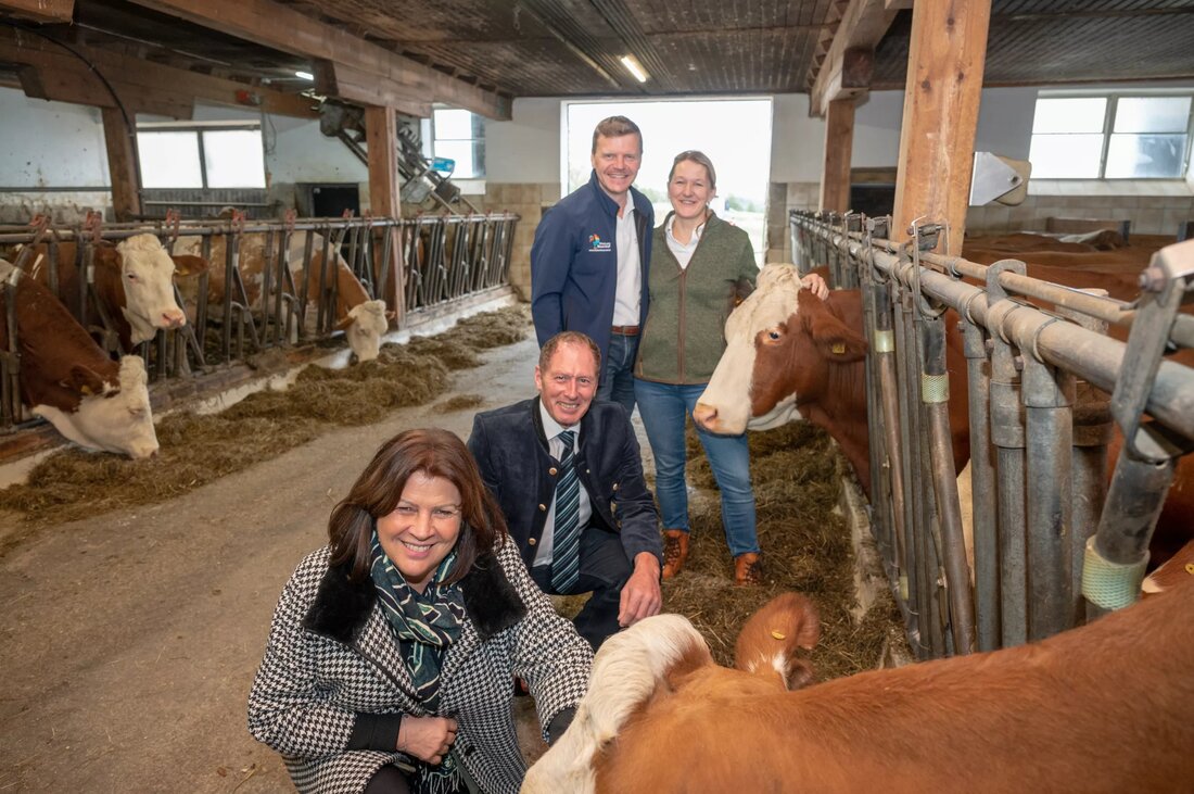 AK Österreich-Präsidentin Renate Anderl und LK Österreich-Präsident Josef Moosbrugger betonen bei einem gemeinsamen Bauernhofbesuch die Bedeutung einer nachhaltigen Land- und Forstwirtschaft. Auf dem Spanblocherhof in Niederösterreich diskutierten sie die Herausforderungen und Leistungen der Bäuerinnen und Bauern. Einig über die Notwendigkeit fairer Wertschöpfung betonten sie die Bedeutung der Agrarwirtschaft für Österreichs Versorgung und Lebensgrundlagen.