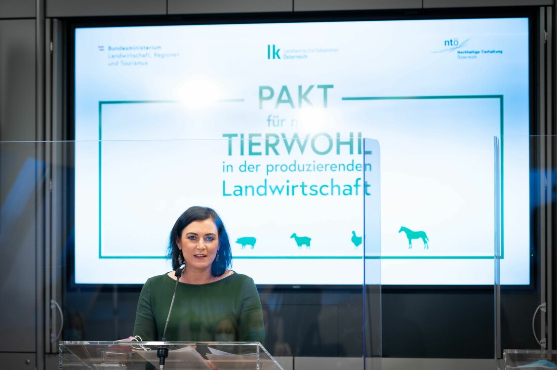 Bund, Länder und Landwirtschaft unterzeichneten den „Pakt für mehr Tierwohl in der produzierenden Landwirtschaft“.