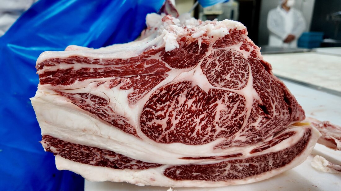 Ronny Paulusch, Fleischexperte und Diplom Fleischsommelier, ist nach Japan gereist, um die Geheimnisse des Wagyu-Rindfleisches zu ergründen. Seine Erkenntnisse über Zuchtmethoden, kulinarische Traditionen und die kulturelle Bedeutung von Wagyu verrät er in einem spannenden Reisebericht.