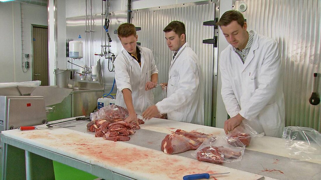 Die neue Schau-Metzgerei an der LFS Bruck fördert regionale Lebensmittelverarbeitung und stressarme Schlachtung für Landwirte.