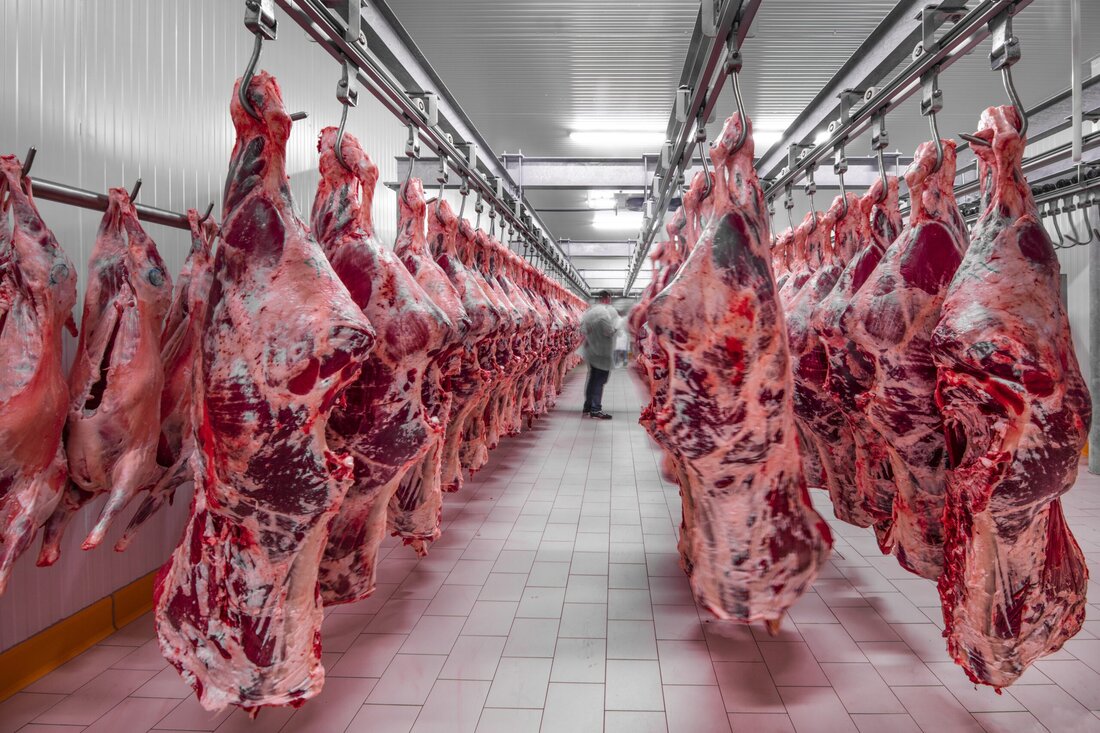 Deutsche Studie bestätigt: Fleisch bekommt wieder ein besseres Image. Wie der Vion-Consumer-Monitor 2023 beweist, ist der Verzehr von Fleisch bei jungen Leuten wieder äußerst belieb.
