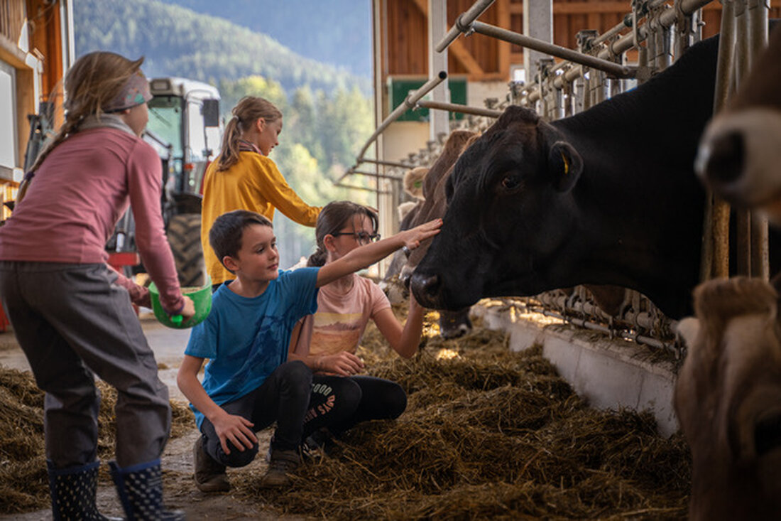 Die Initiative „Schule am Bauernhof“ sowie die vielfältigen Tätigkeiten der Seminarbäuerinnen sind tragende Säulen, wenn es um landwirtschaftliche Bewusstseinsbildung und Konsumenteninformation geht. Um ihr umfangreiches Fachwissen weitergeben zu können, müssen die Bäuerinnen und Bauern eine Ausbildung im Rahmen eines Zertifikatslehrgangs des Ländlichen Fortbildungsinstituts (LFI) absolvieren. Insgesamt 33 Landwirt:innen haben vor Kurzem solch einen Lehrgang abgeschlossen: Ab sofort gibt es 20 neue Schule am Bauernhof-Anbieter:innen und 13 neue Seminarbäuerinnen.