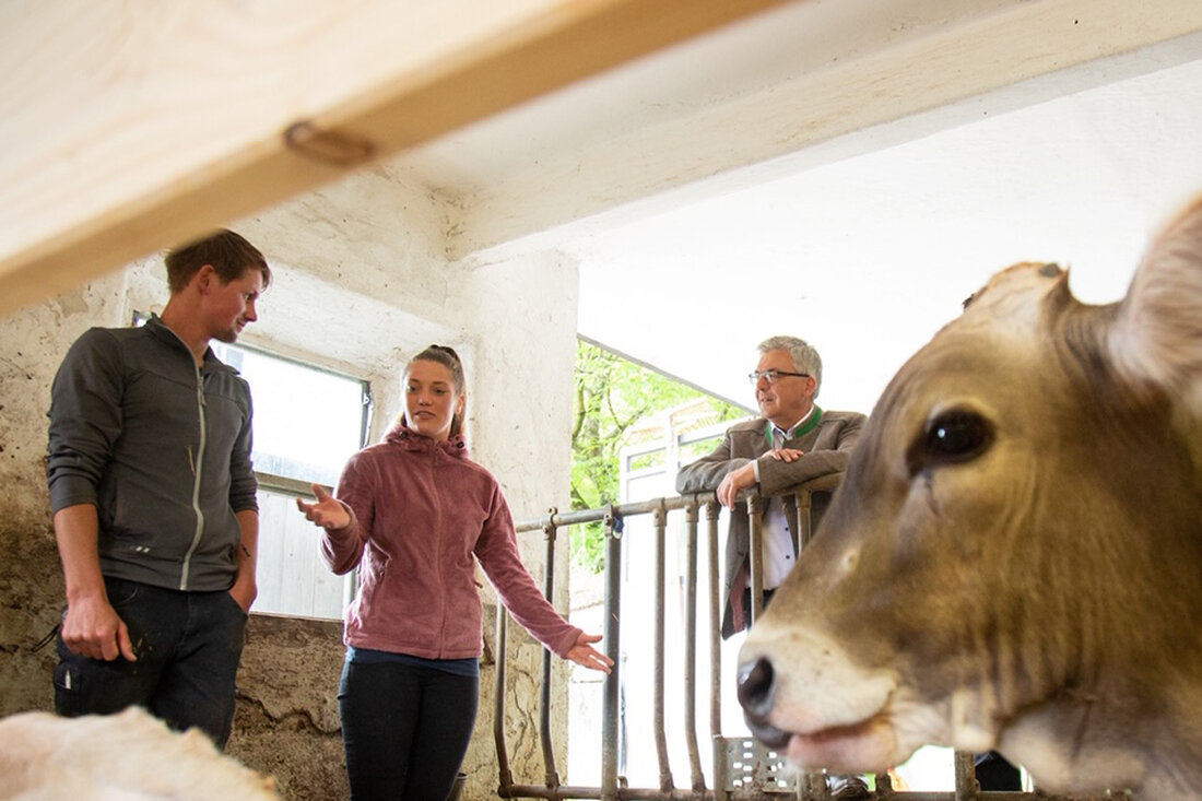 2022 war für die Bäuerinnen und Bauern mit Sicherheit ein herausforderndes Jahr, trotzdem steigt seit Jahren wieder die Anzahl der landwirtschaftlichen Betriebe. 7.595 Höfe gab es im gesamten Bundesland im vergangenen Jahr, um sieben mehr als 2021.Fast jeder vierte von zehn Betrieben ist außerdem in Frauenhand.
