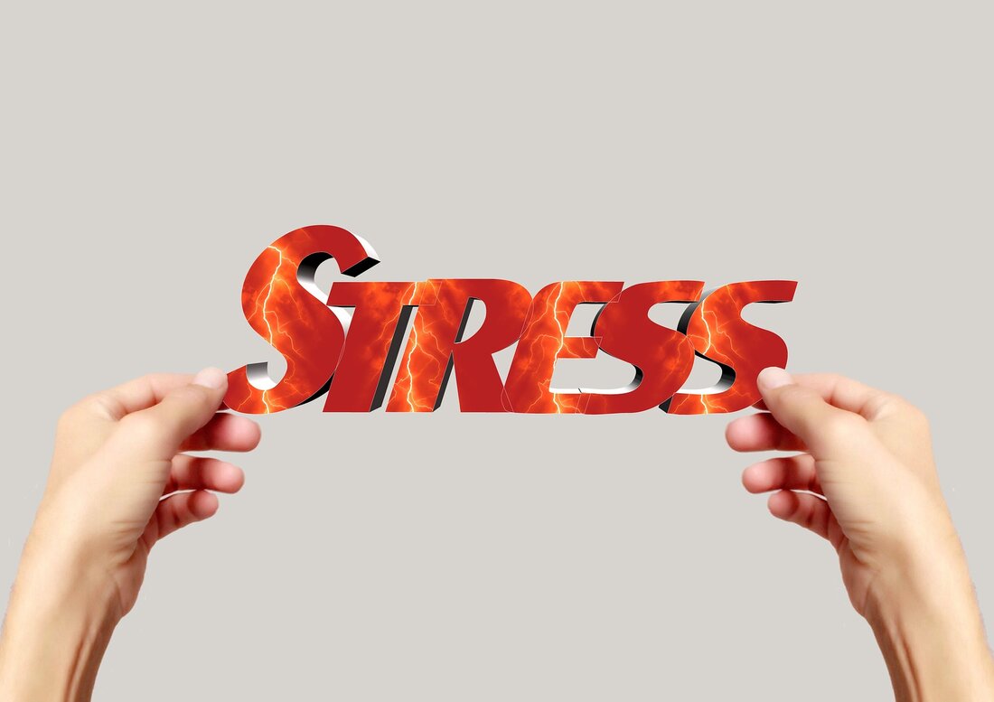 Der Burnt Chef Project setzt sich für mentale Gesundheit in Gastro und der Fleischerei-Branche ein und fordert ein Umdenken im Umgang mit Stress.