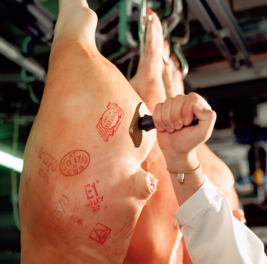 Ab sofort trägt das gesamte Schweinefleisch- und ab März auch das komplette Rindfleisch-Programm in 1.000 Billa-Filialen und 132 Merkur-Märkten das AMA Gütesiegel.