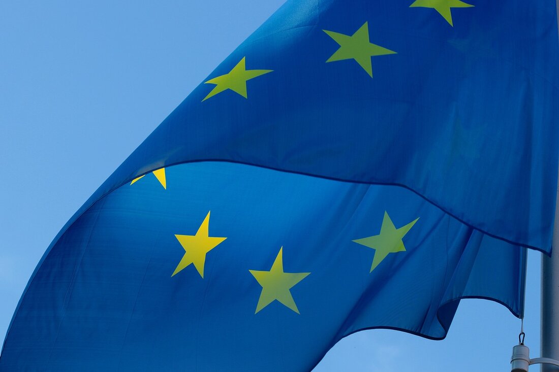 Auf die Einhaltung des Tierschutzes in der Sauenhaltung drängt die EU-Kommission. EU-Mitgliedstaaten, in denen Zuchtsauen immer noch in Einzelbuchten gehalten werden, drohen jetzt Vertragsverletzungsverfahren.