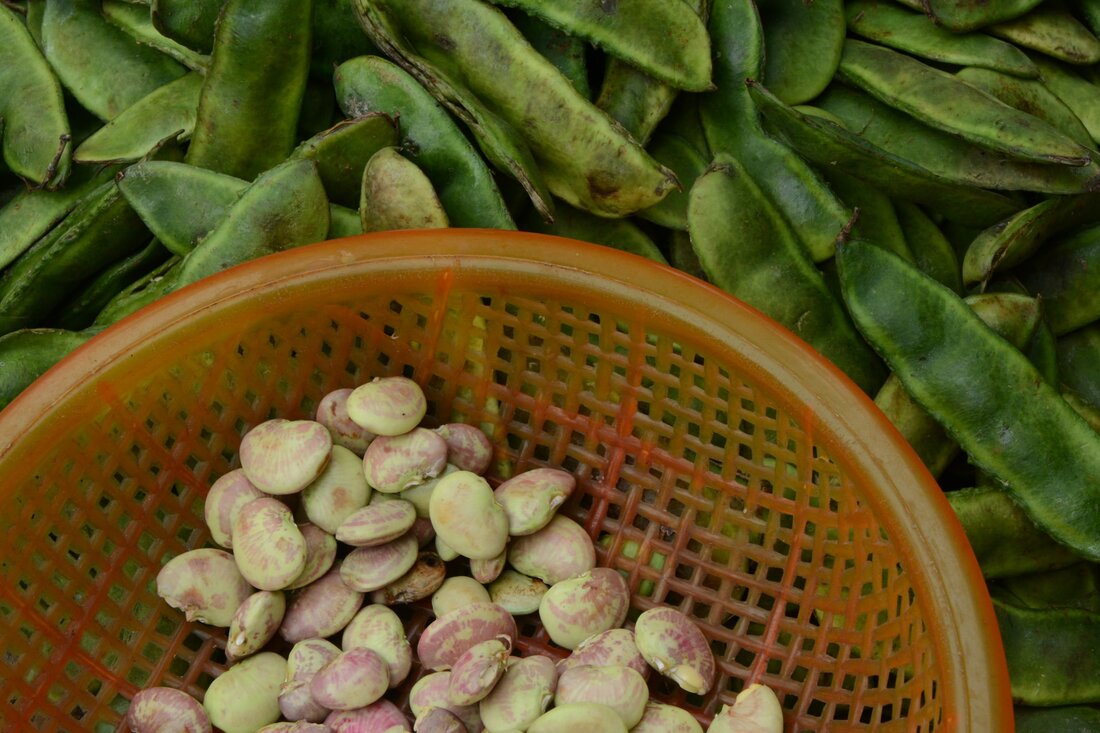 JA ZU NAH, der Lebensmittel-Marktplatz der Landwirtschaftskammer Niederösterreich, stärkt sein regionales Angebot für Großküchen. Ab 2024 werden Super-Foods wie Sojaprodukte und Hülsenfrüchte, küchenfertiges Gemüse und Fruchtgemüse sowie Geflügel das Sortiment ergänzen. Die Initiative zielt darauf ab, eine nachhaltige Ernährung zu fördern und gleichzeitig den Bauern einen regionalen Absatzmarkt zu bieten.