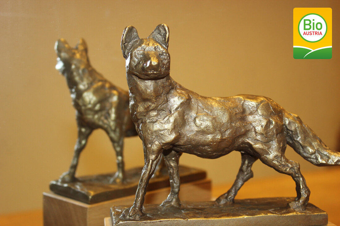 Innovations-Wettbewerb des Bio-Verbandes macht Biodiversitäts-Leistungen der Biobäuerinnen und Biobauern sichtbar