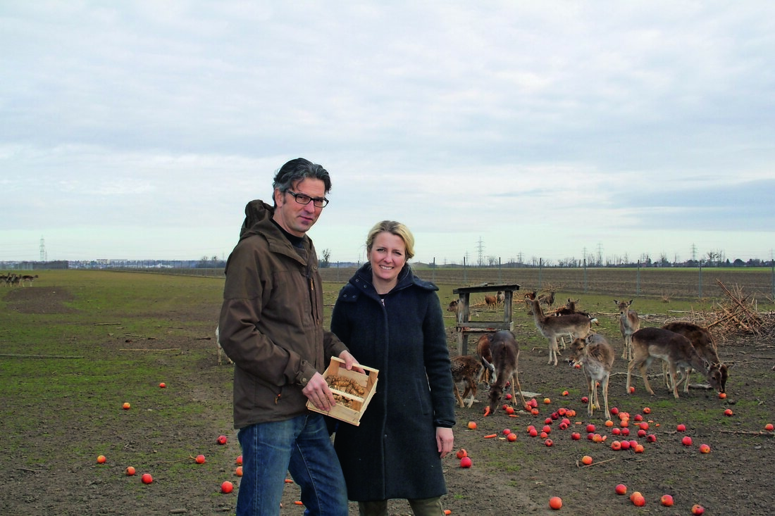 Das Ziel ist es, hochwertiges Wild nach den Grundsätzen der Nachhaltigkeit zu produzieren. Respekt vor der Schöpfung hält uns an, unserem Damwild seinen Lebensraum sehr natürlich zu gestalten“, erklären Lydia und Hannes Wiesmayer bei
einem Lokalaugenschein im Damwildgehege.