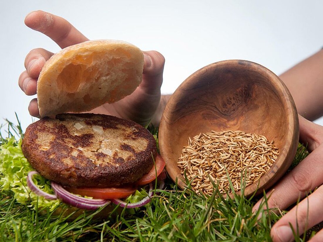 Insektenburger oder eine gschmackige Sauce aus Insekten für die Spaghetti: Was sich skurril anhört, ist bereits Realität. Vier Insektenarten sind in der Europäischen Union mittlerweile als Lebensmittel zugelassen.