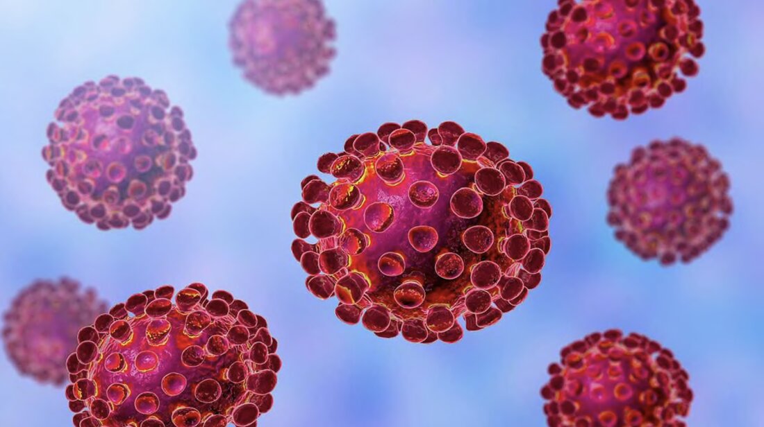 Österreich ist im Ausnahmezustand! Das Corona-Virus ist, so Bundeskanzler Kurz, die „größte Bedrohung seit dem Zweiten Weltkrieg!“. Die Umstände überschlagen sich und derzeit stehen wir quasi stündlich vor neuen Herausforderungen. Fleisch & Co liefert Antworten auf die brennendsten Fragen!