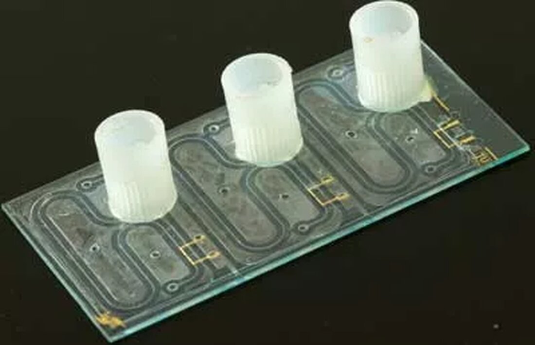 Wissenschafter an der Technischen Universität Wien (TU) haben im Rahmen des EU-Projekts „Optifert“ einen Chip entwickelt, der innerhalb weniger Minuten Auskunft über den Nährstoffgehalt des Bodens gibt.