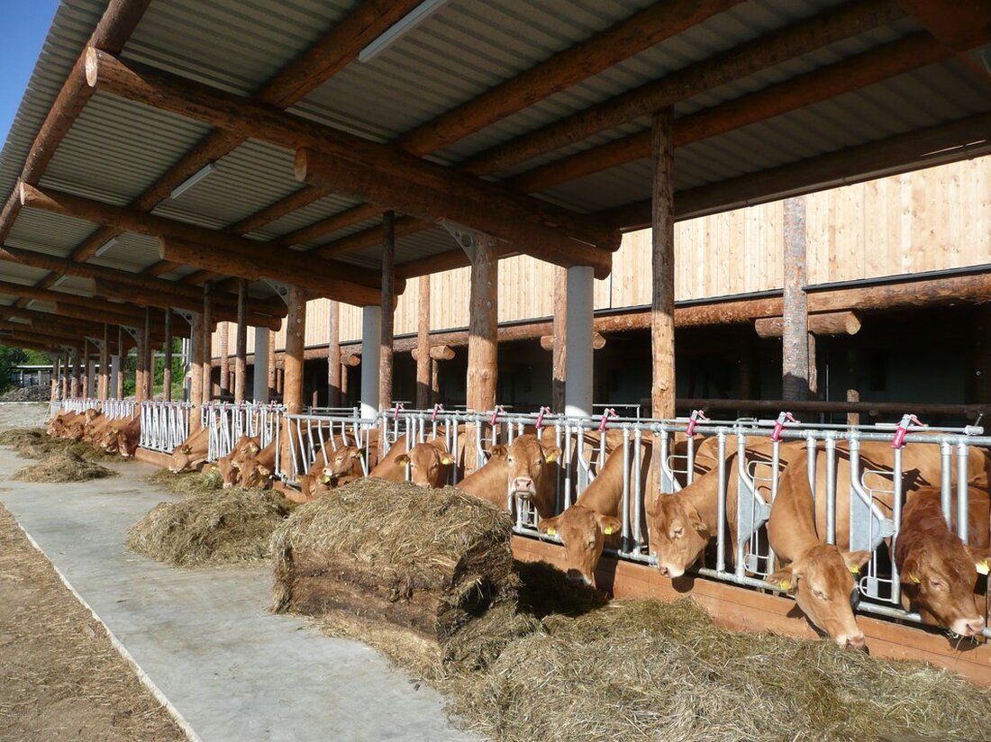 Die Tierschutzombudsstelle Steiermark verleiht 2025 den Tierschutzpreis für tierfreundliches Bauen. Bewerbungen bis 30. April.
