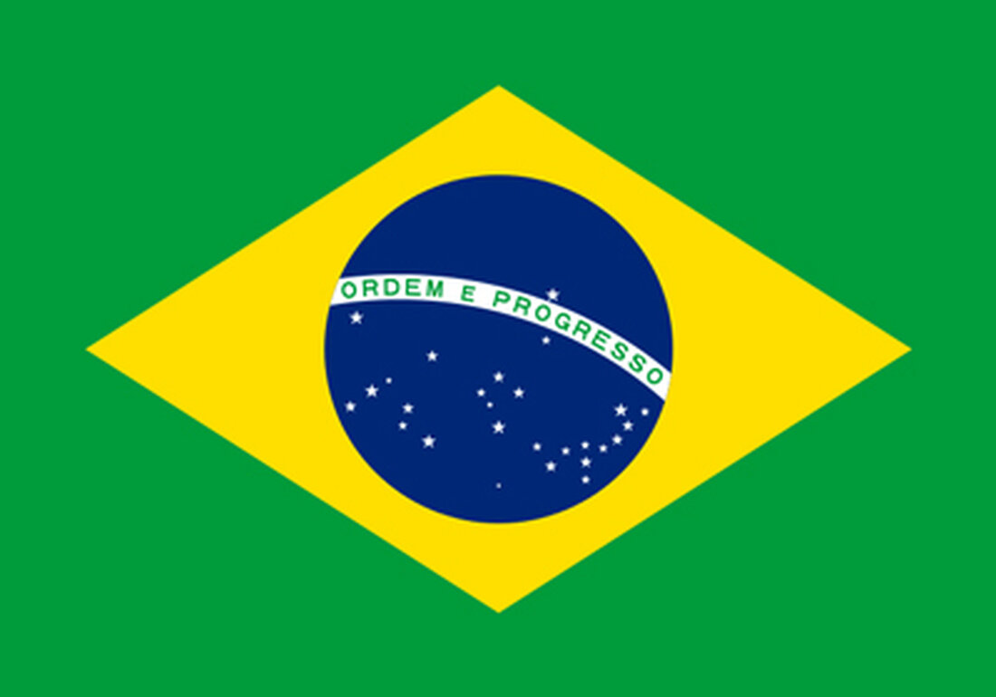 Der Skandal um angeblich verdorbenes Fleisch hat erste schwerwiegende Konsequenzen für Brasilien. Mehrere Staaten verhängten bereits Importstopps gegen Rind- und Geflügelfleisch aus dem südamerikanischen Land.