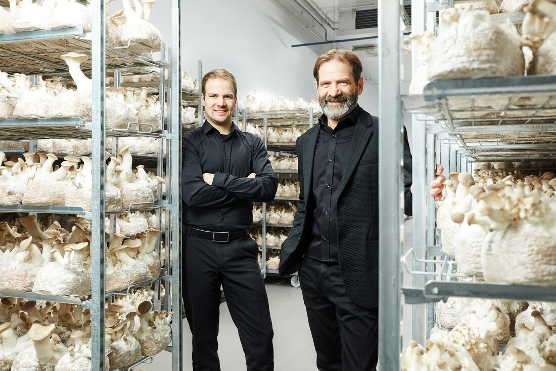 Lange wurde getüftelt, Mitte März ist es so weit. Hermann bringt zwei österreichische Klassiker aus Kräuterseitlingen auf den Markt. „Nebenbei“ expandiert das Unternehmen auch auf den niederländischen Markt. Ob „Neuburger“ oder fleischlos – alle Zeichen stehen auf Expansion.