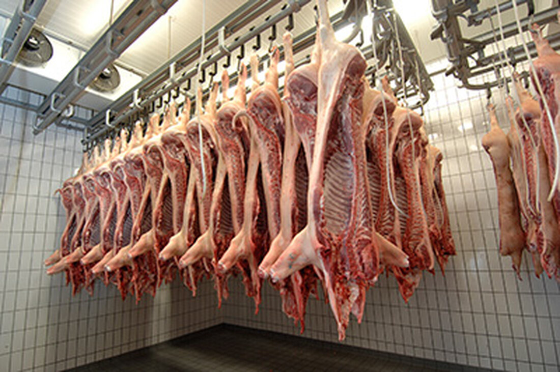 Zuwächse  wurde bei Rindern (2,2 %), Schafen (7,3 %), Hühnern (1,2 %) und bei Pferden (7,6 %) verzeichnet, die Schweineschlachtungen blieben konstant. Rückläufig sind die Zahlen bei Kälbern und Ziegen