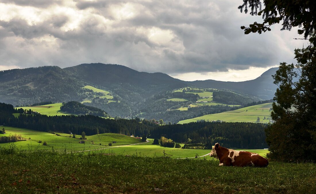 Die biologische Wirtschaftsweise erfüllt in höchstem Maße die Erwartungen der Konsumenten.