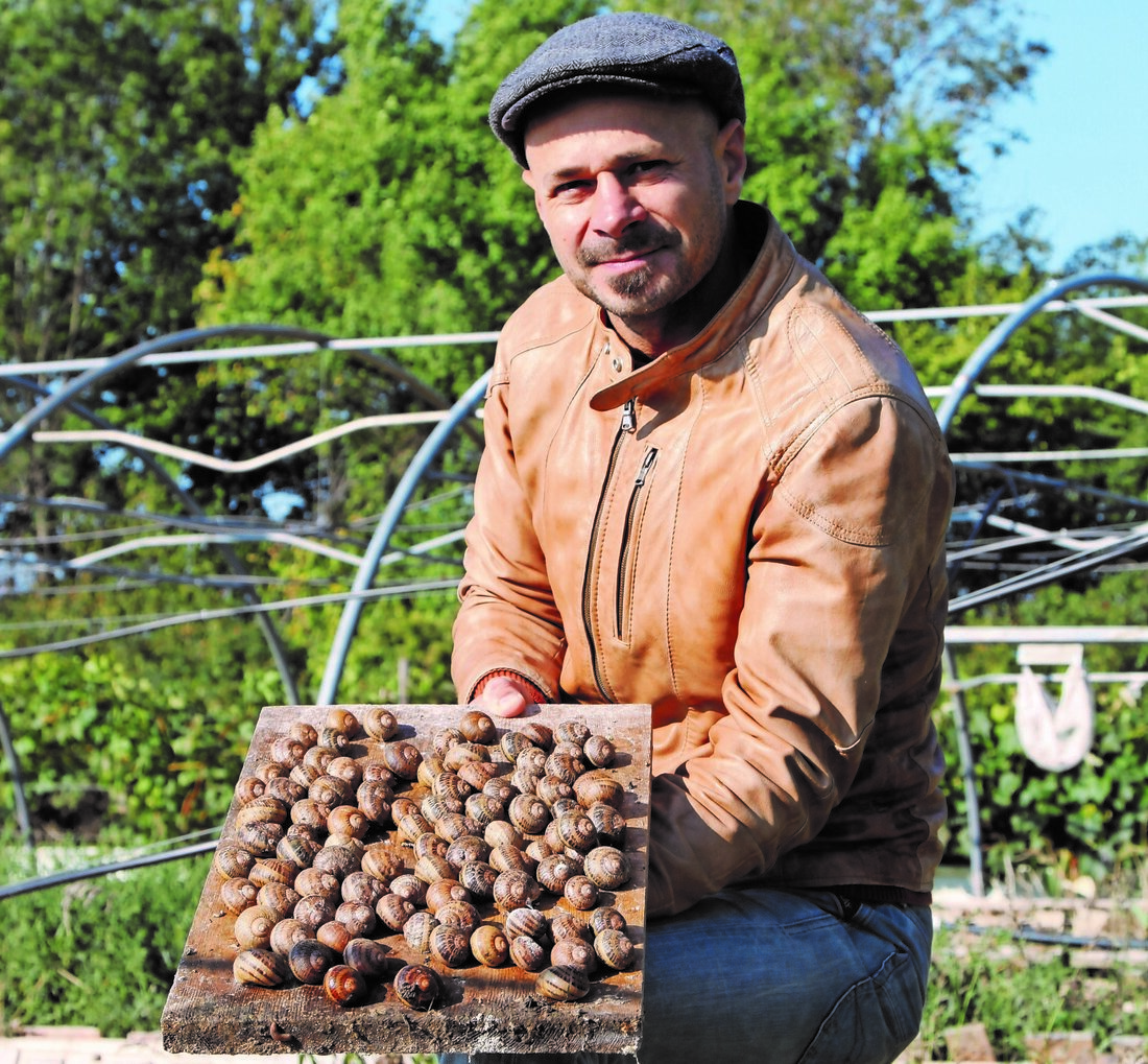 Schnecken waren in der Alt-Österreichischen Küche verbreiteter, als allgemein bekannt. Jetzt werden sie wiederentdeckt.