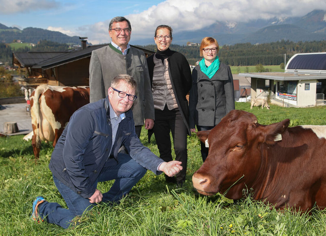 McDonald's Österreich bezieht jährlich über 6.000 t Rindfleisch für die Produktion der Fleisch-Patties. Dieses Fleisch stammt nach eigenen Angaben zu 100% von heimischen Landwirten. Einer dieser Partner wurde kürzlich als europaweiter Vorzeigebetrieb und erste Rinder-Flagship Farm Österreichs ausgezeichnet. Der Schörgererhof in Oberndorf bei Kitzbühel liefert qualitativ hochwertige Lebensmittel aus zeitgemäßer Landwirtschaft.