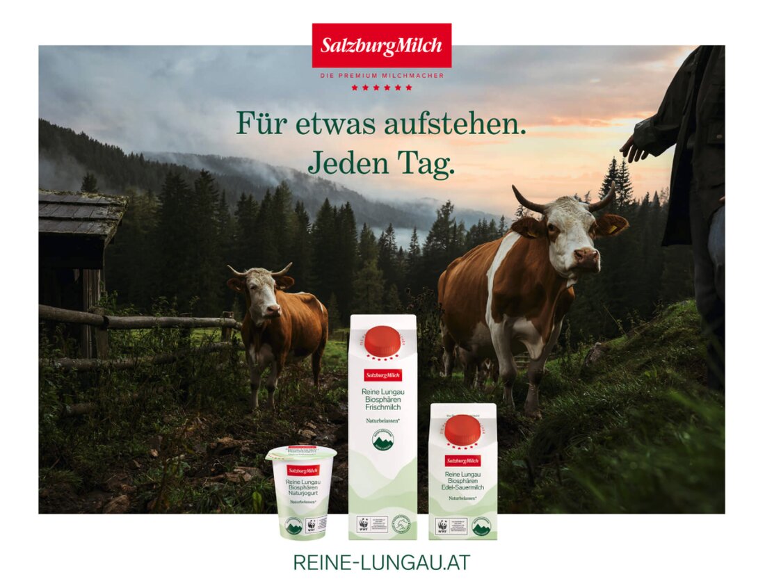 54 Biobetriebe liefern seit zwei Jahren ihre Milch für die „Reine Lungau”. Wie es mit dem Projekt der SalzburgMilch weitergehen wird, hängt nun in erster Linie vom Handel und den Konsumenten ab.