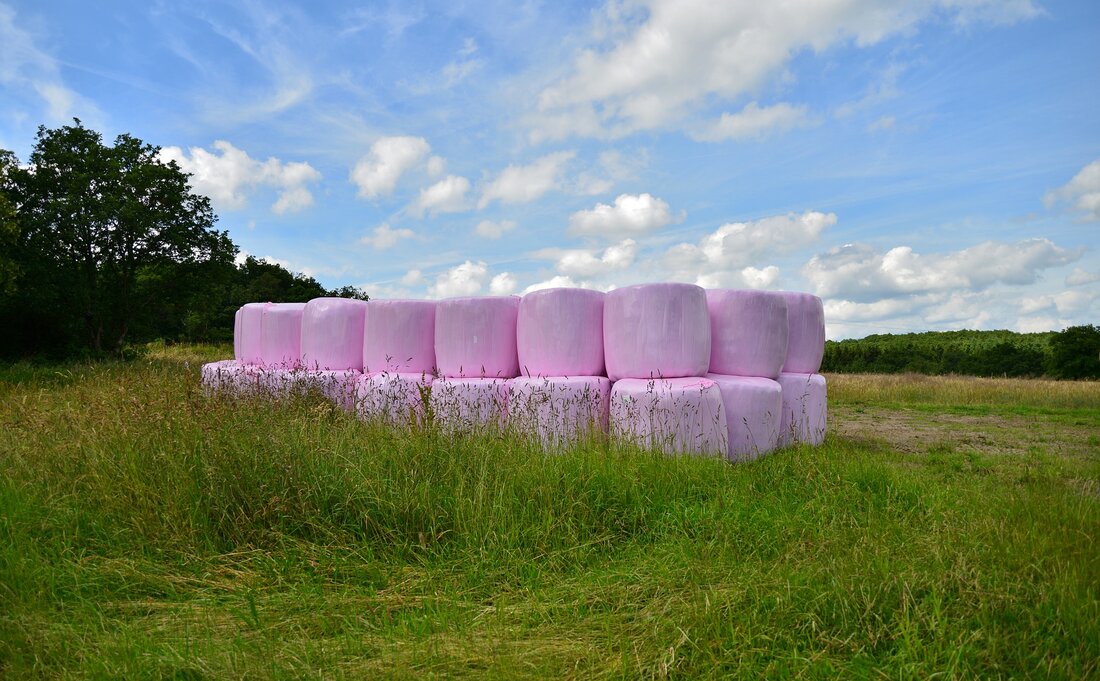 Für die Umwelt: Am gesamten Betrieb sind Bereitung, Lagerung und Einsatz von Silage nicht mehr erlaubt!