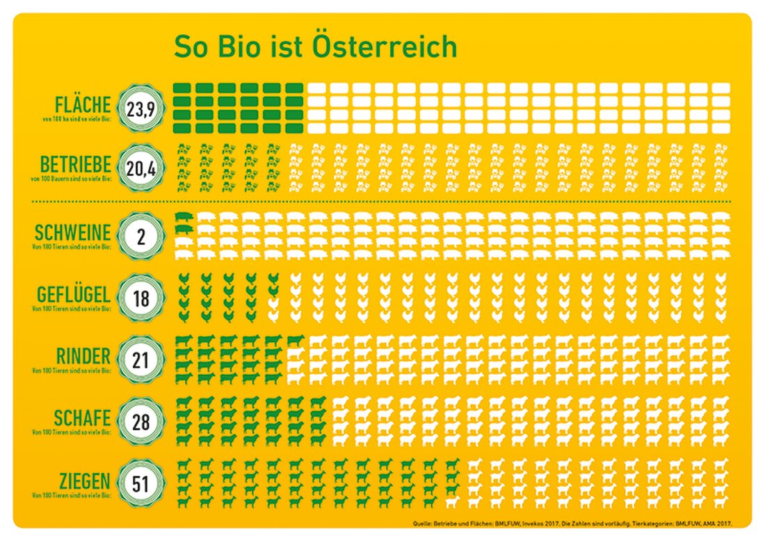 Die Zahl der landwirtschaftlichen Bio-Betriebe in Österreich ist 2017 im Vergleich zum Jahr davor um 6% auf 23.117 gestiegen.