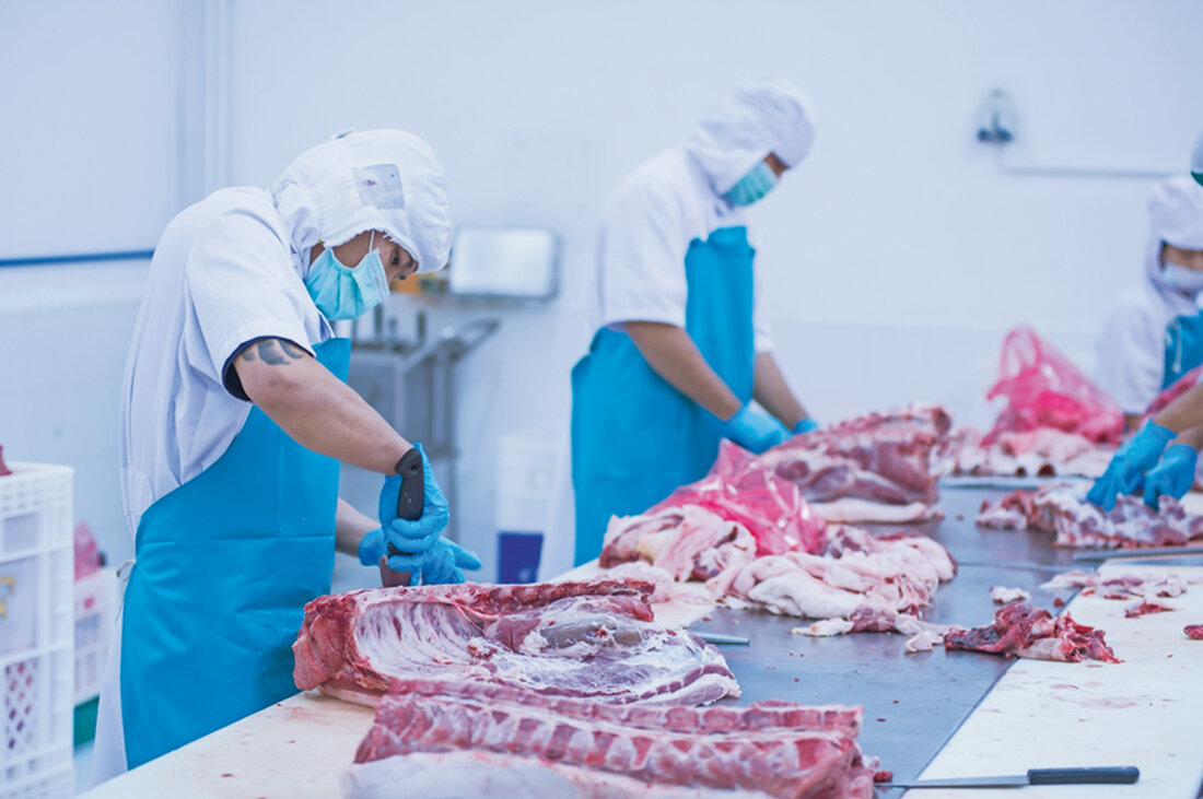Österreichs Fleischwirtschaft steuert auf einen tief greifenden Strukturwandel zu. „Feinzerlegungen“ der heimischen Fleisch-Lieferkette mit Verschiebungen der Wertschöpfungsanteile sind angesagt. 2018 eröffnen neue Fleischzerlegewerke von Rewe in Eberstalzell (OÖ) und Spar/Tann in Wörgl in Tirol.
