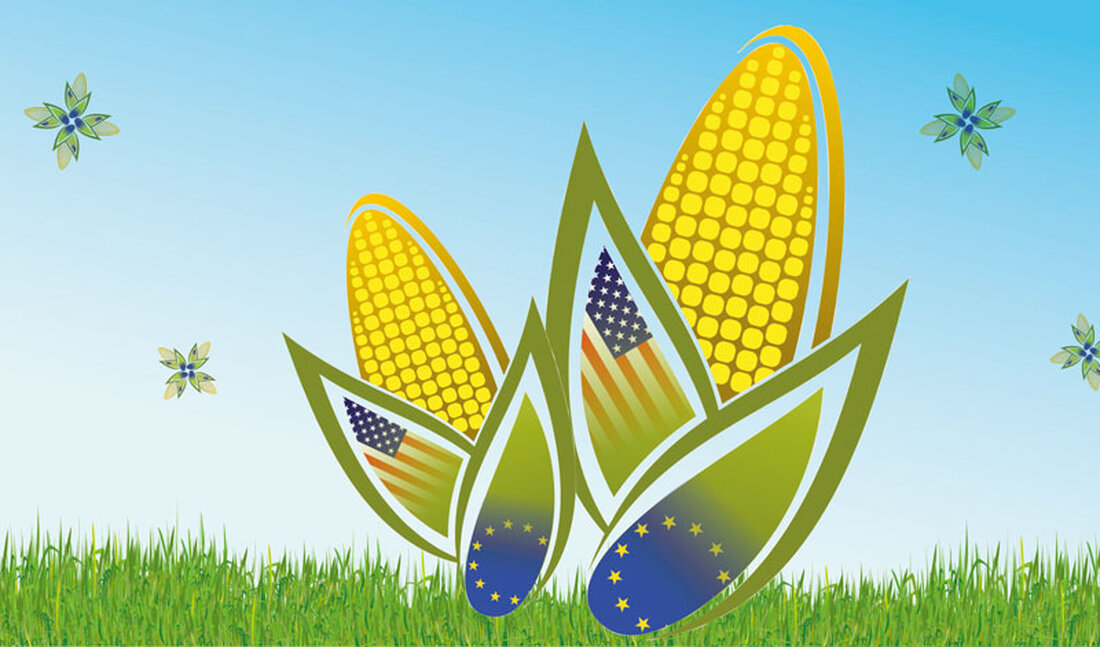 In Miami in Florida startete am Montag, die elfte TTIP-Verhandlungsrunde. Erstmals steht in den Handelsgesprächen zwischen der EU und den USA auch die Landwirtschaft auf der Tagesordnung. Eine Woche lang besprechen Unterhändler der EU und der USA weitere Details in der geplanten Transatlantischen Handels- und Investitionspartnerschaft (TTIP).
