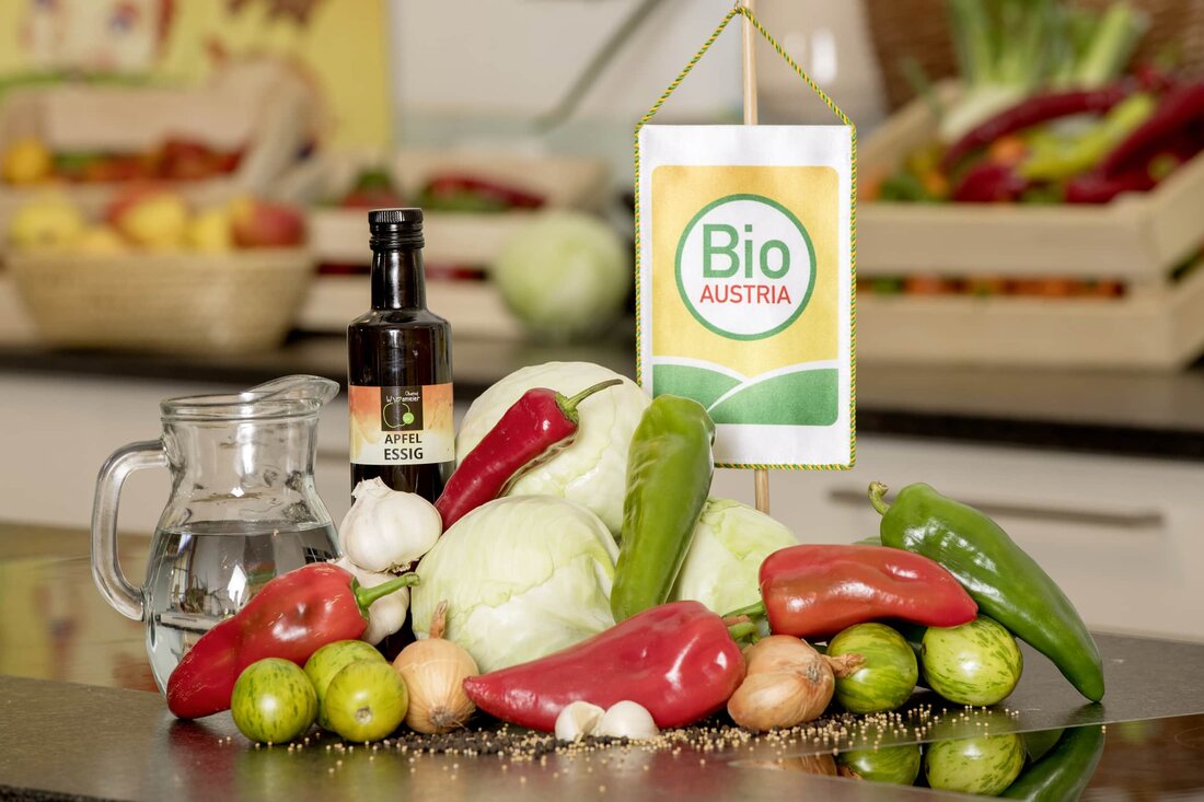 BIO AUSTRIA kritisiert unzureichende Umsetzung des Aktionsplans für nachhaltige Beschaffung - Bio-Quoten nicht eingehalten. Forderung nach Gipfeltreffen und Monitoring.