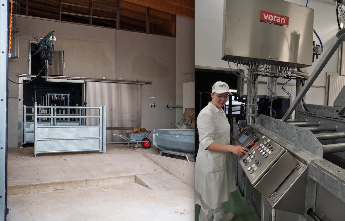 Der Schlacht-Ausrüster: Voran - Gemeinsam mit der Fleischerei Böck hat voran® eine Vorzeigeschlachtanlage entwickelt, die höchste Standards in Tierwohl, Bedienerfreundlichkeit und Prozesssicherheit erfüllt.