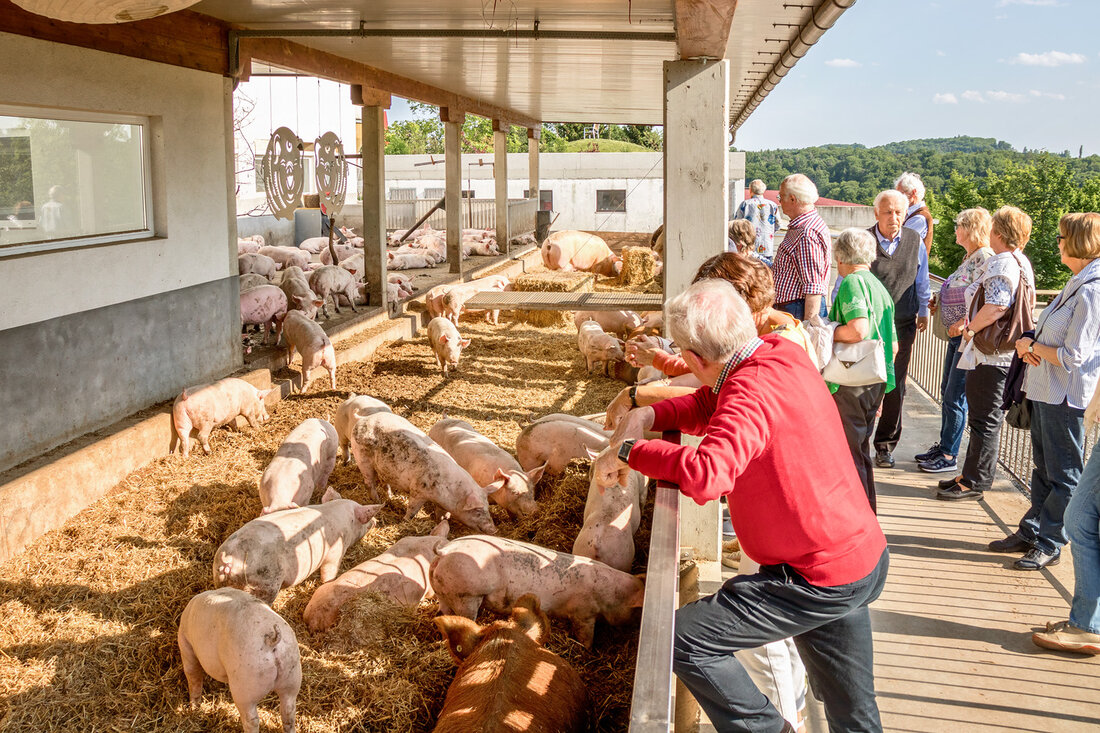 Wie an jedem letzten Sonntag im September sollte auch heuer der Kulinarische Herbst rund um die Riegersburg stattfinden, bei dem 10 Kulinarik-Betriebe der Region ihre Produkte präsentieren wollten. Auch hier hat Corona zugeschlagen und die Veranstaltung musste nun kurzfristig abgesagt werden.Die Vulcano Schinkenmanufaktur hat sich allerdings entschlossen, dafür an allen Sonntagen im Oktober den Herbst zu feiern. Zu diesem Zweck werden die Tage der offenen Tür verlängert und Interessierten gegen Voranmeldung Gratis-Führungen sowie Verkostungen mit Produkten aus der Gegend angeboten. So feiert Vulcano die Erntezeit und sagt Danke an alle treuen Kunden. Führungen und Verkostungen Bei Interesse finden im Stundentakt &hellip;