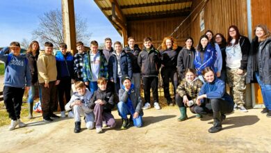 Landwirtschaftliche Fachschule Hollabrunn: Tierschutz macht Schule